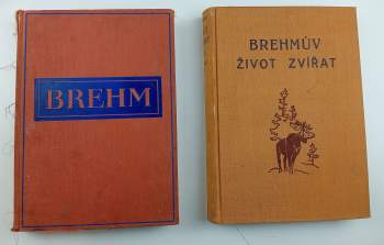 Alfred Brehm: KOMPLETNÍ Brehmův život zvířat I. díl Bezobratlí + II. Ryby, Obojživelníci, Plazi (2 svazky) + III. Ptáci (4 svazky) + IV. Ssavci (4 svazky)