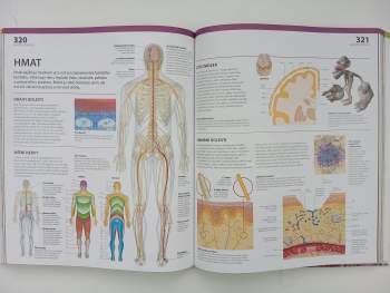 Alice M Roberts: Kompletní lidské tělo