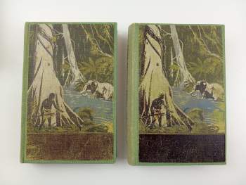 Edgar Rice Burroughs: Tarzan - Návrat z džungle