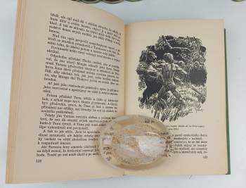 Edgar Rice Burroughs: Tarzanova dobrodružství v džungli