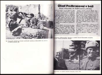 Otakar Franěk: Koncern brněnské Zbrojovky v letech 1939-1945