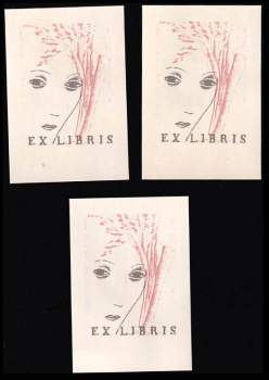 André Suarés: Kondotierova cesta do Italie