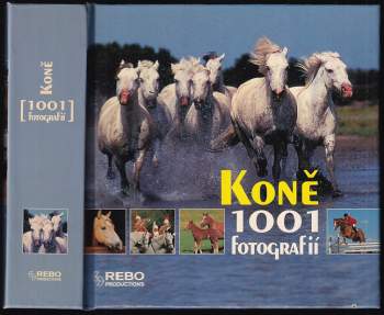 Koně
