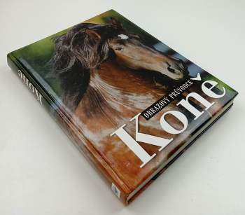 Koně
