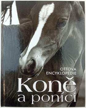 Koně a poníci