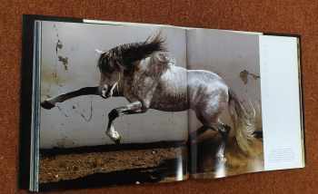 Gabrielle Boiselle: Koně