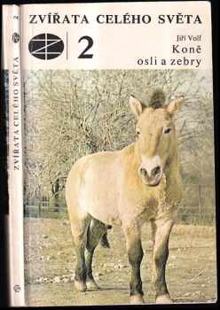 Koně, osli a zebry