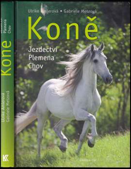 Ulrike Amler: Koně