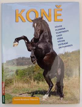 Zuzana Tillerová: Koně
