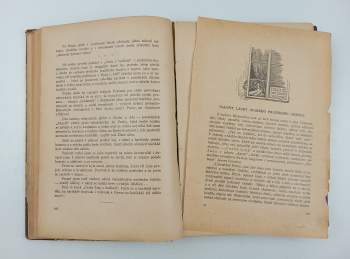 Karel Ladislav Kukla: Konec bahna Prahy