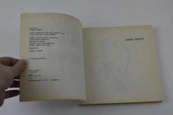 Ivan Diviš: Konec štěstí