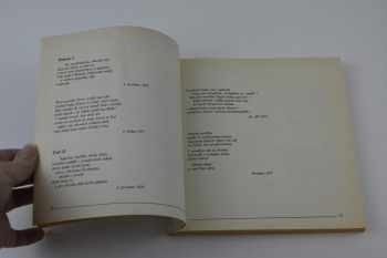 Ivan Diviš: Konec štěstí