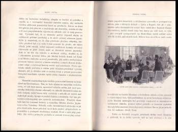 Camille Flammarion: Konec světa