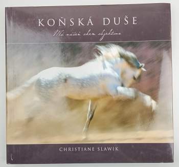 Koňská duše