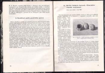 Bohumír Vítek: Konstrukce z lehkého betonu