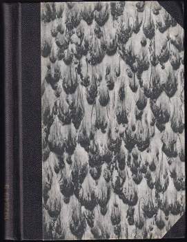 Bohumír Vítek: Konstrukce z lehkého betonu