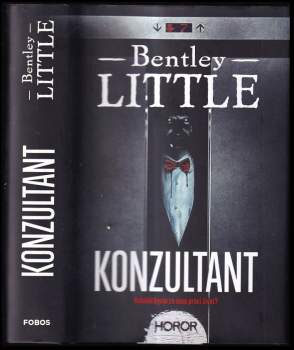 Bentley Little: Konzultant