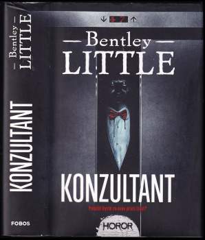 Bentley Little: Konzultant