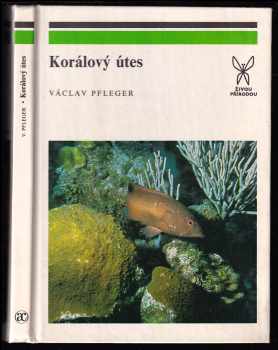 Korálový útes