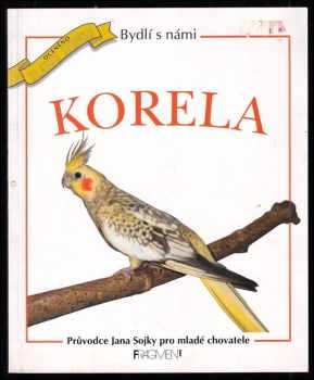 Korela