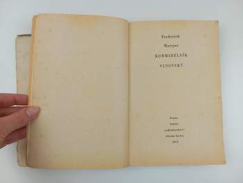 Frederick Marryat: Kormidelník Vlnovský