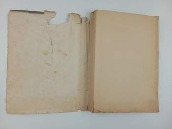 Frederick Marryat: Kormidelník Vlnovský