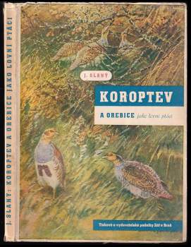 Koroptev a orebice jako lovní ptáci