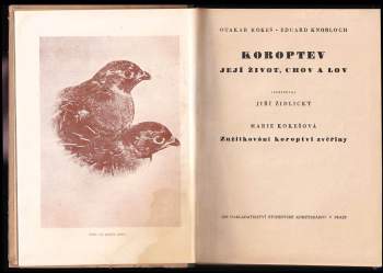 Otakar Kokeš: Koroptev