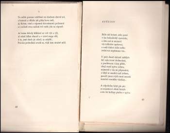 Jan Zahradníček: Korouhve