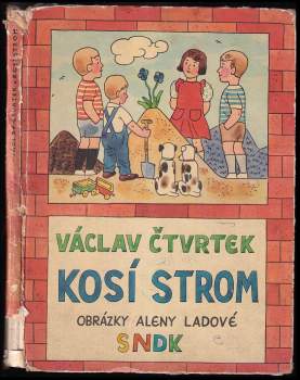 Kosí strom