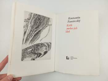 Konstantin Georgijevič Paustovskij: Košík smrkových šišek