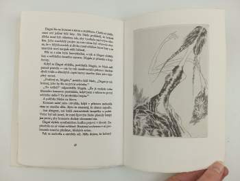 Konstantin Georgijevič Paustovskij: Košík smrkových šišek