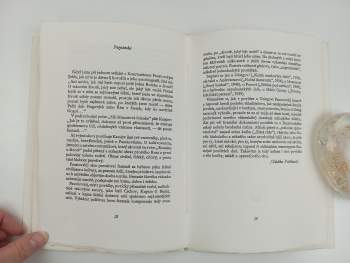 Konstantin Georgijevič Paustovskij: Košík smrkových šišek