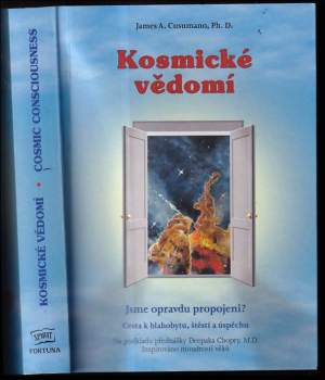 Kosmické vědomí