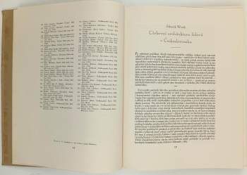 Bohumil Vavroušek: Kostel na dědině a v městečku