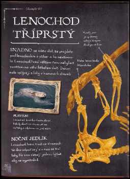 Rob Colson: Kosti a kostry