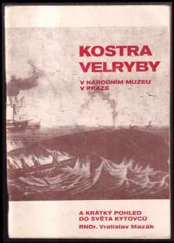 Kostra velryby v Národním muzeu v Praze a krátký pohled do světa kytovců