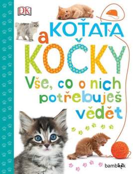 Koťata a kočky