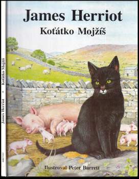Koťátko Mojžíš