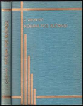 Kotlina pod bučinou