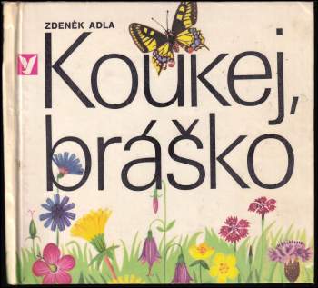 Koukej, bráško!