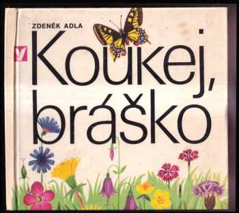 Zdeněk Adla: Koukej, bráško!