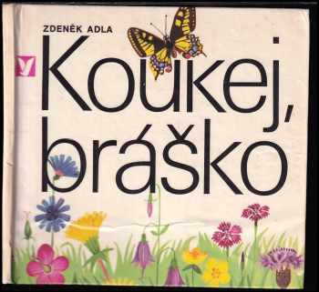 Zdeněk Adla: Koukej, bráško!