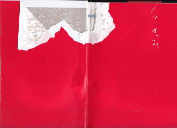 kolektiv: Kouzelná Beruška a Černý Kocour - Komiksové příběhy 4