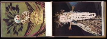 Miloš Zapletal: Kouzelné brýle