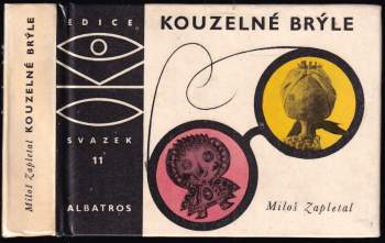 Kouzelné brýle