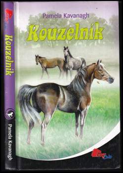Kouzelník