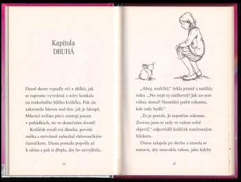 Sue Bentley: Kouzelný králíček