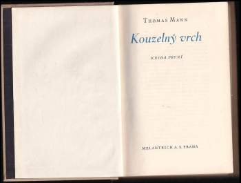 Thomas Mann: Kouzelný vrch