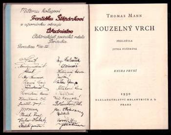Thomas Mann: Kouzelný vrch